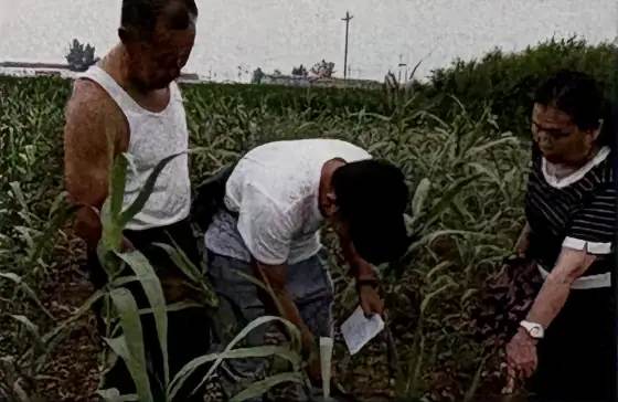 自然保护区影响评价业务配图