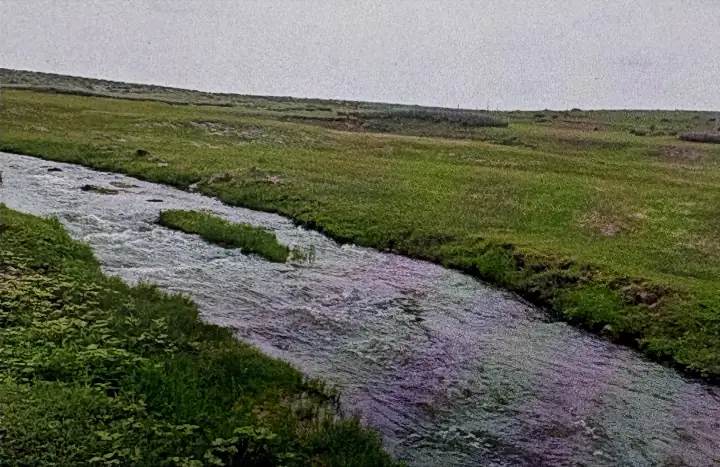 中船正蓝旗240MW特高压风电项目湿地专题报告现场照片